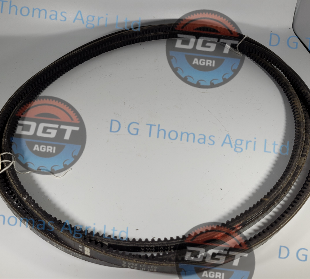 Adobe_Express_20231019_1248550_1