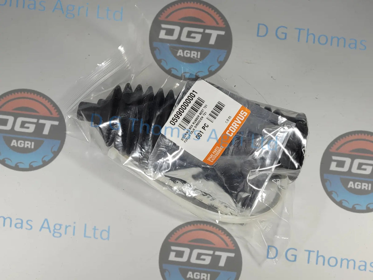 Adobe_Express_20231024_1056310_1