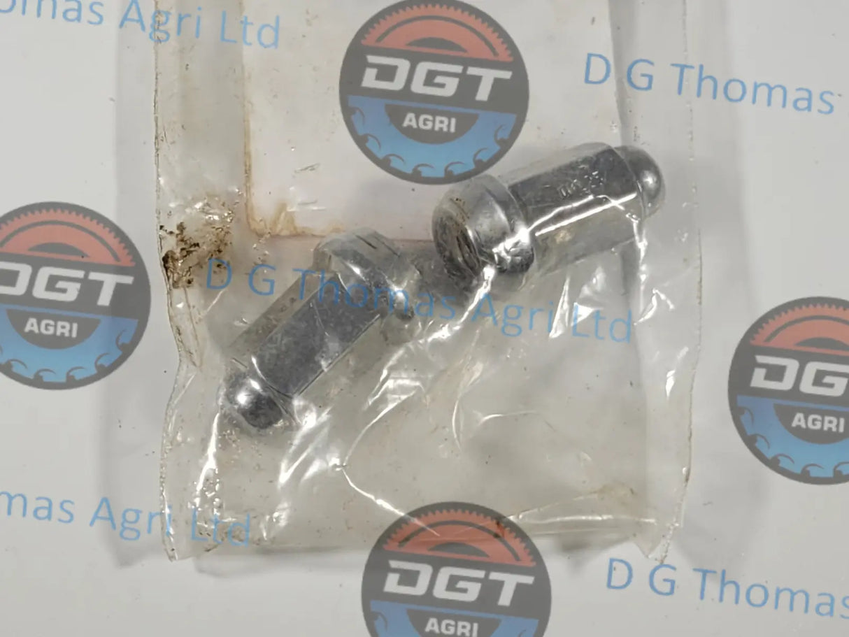 Adobe_Express_20231024_1310290_1