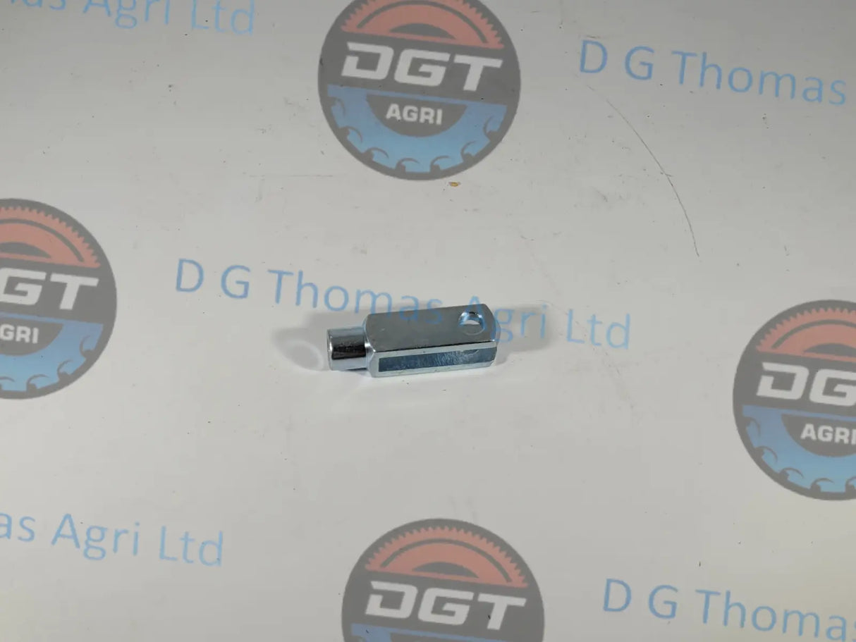 Adobe_Express_20231103_1327230_1