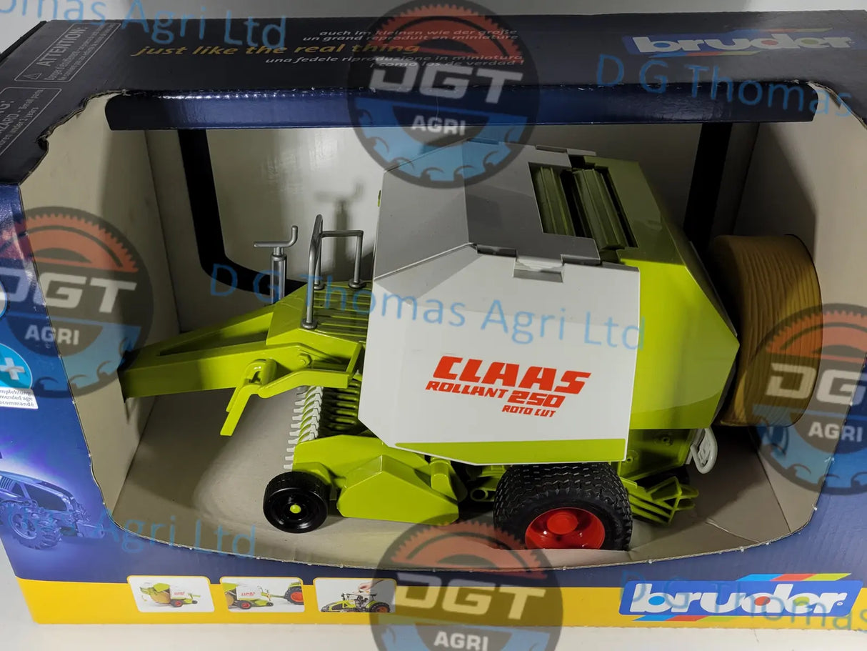 Adobe_Express_20231122_1040430_1