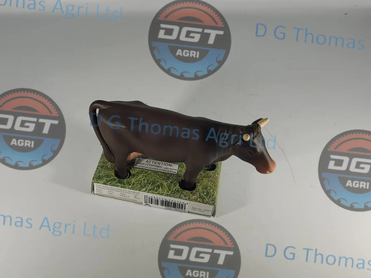 Adobe_Express_20231122_1118260_1