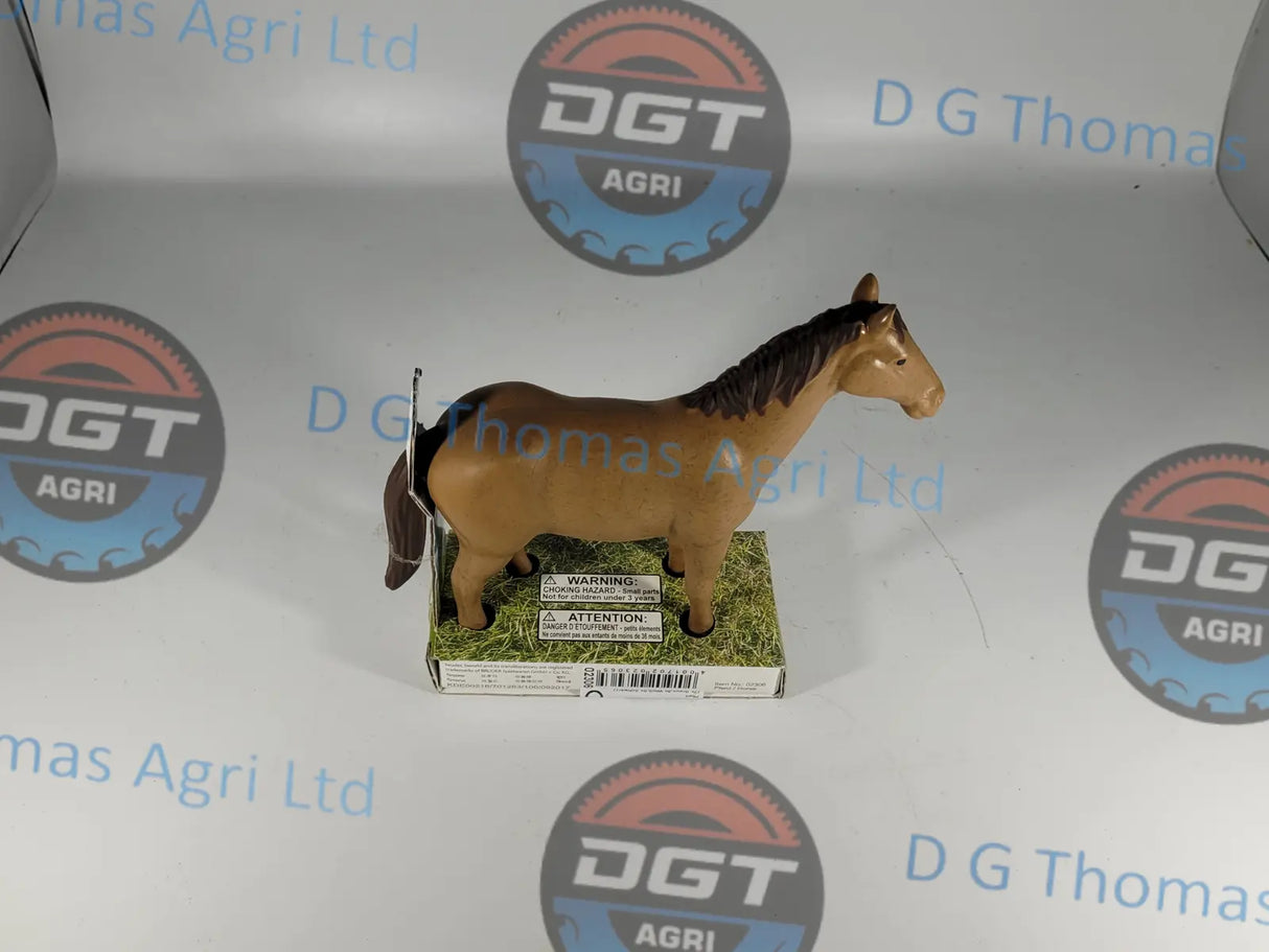 Adobe_Express_20231123_1052230_1