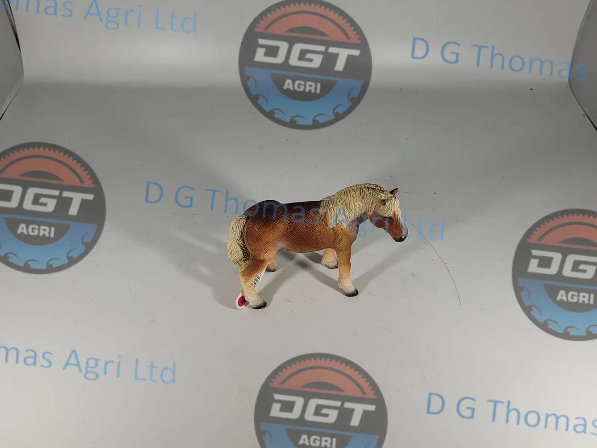 Adobe_Express_20231123_1052390_1