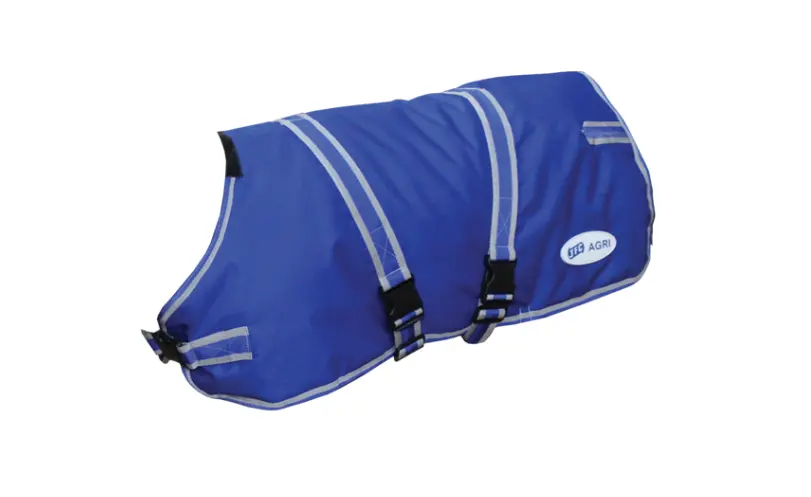 Calf jacket by JFC Agri, blue 75cm (CJ-01), with adjustable straps