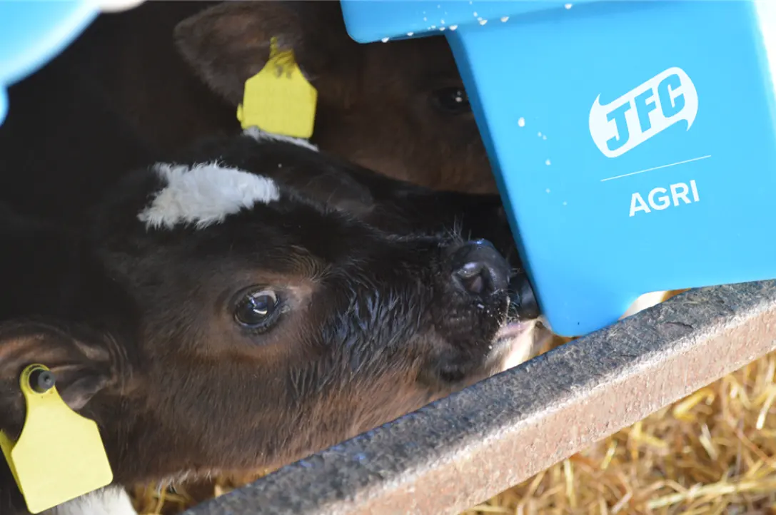 6-teat compartment calf feeder in blue, EazyFlow Teat by JFC Agri