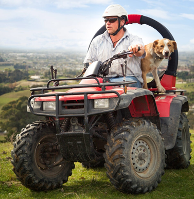 LifeGuard CPD & Mounting – Trax Red ATV with helmeted driver and dog in rear seat