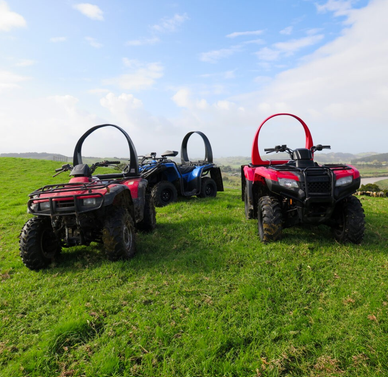 QuadGuard CPD & Mounting Trax red ATV with two blue ATVs on a grassy field