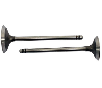 Engine valve pair for Can-Am Outlander/Renegade/Maverick ATVs, metal, ATV City.