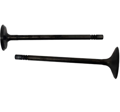 Engine Valve Pair by ATV City for Polaris Ranger/Sportsman/RZR; steel valves, two pieces