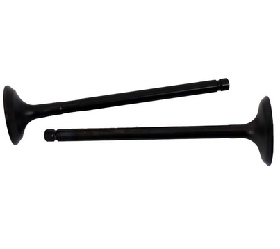 Engine valve pair in black metal for ATV engines, two valves.