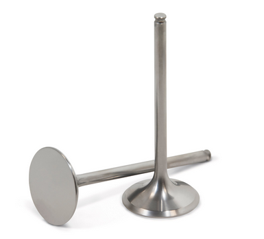 Engine valve pair for ATV engines, two metal valves in metallic silver finish.