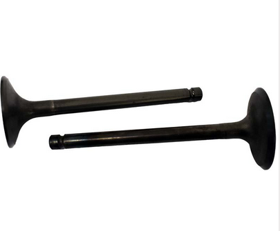 Engine Valve Pair for Yamaha YFM600 Grizzly, two black metal valves, ATV City