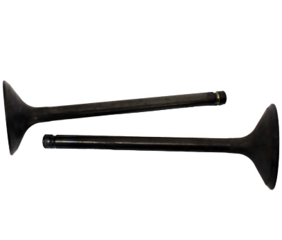Engine valve pair for Kawasaki KLF220/KLF250 Bayou engines, black metal