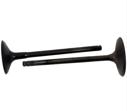 Engine valve pair – ATV City; black metal valves for Polaris ATV models