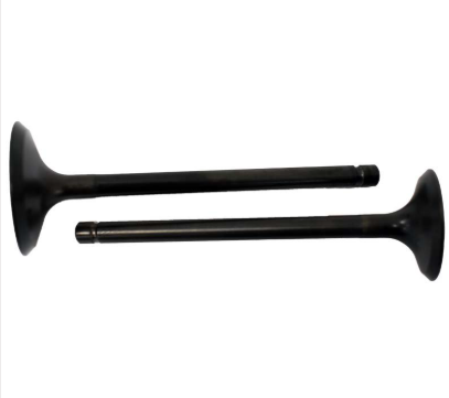 Engine Valve Pair for Yamaha ATV models YFM/YTM Moto-4 Timberwolf Big Bear, black steel