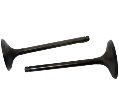 Engine valve pair, dark metal finish with long stems