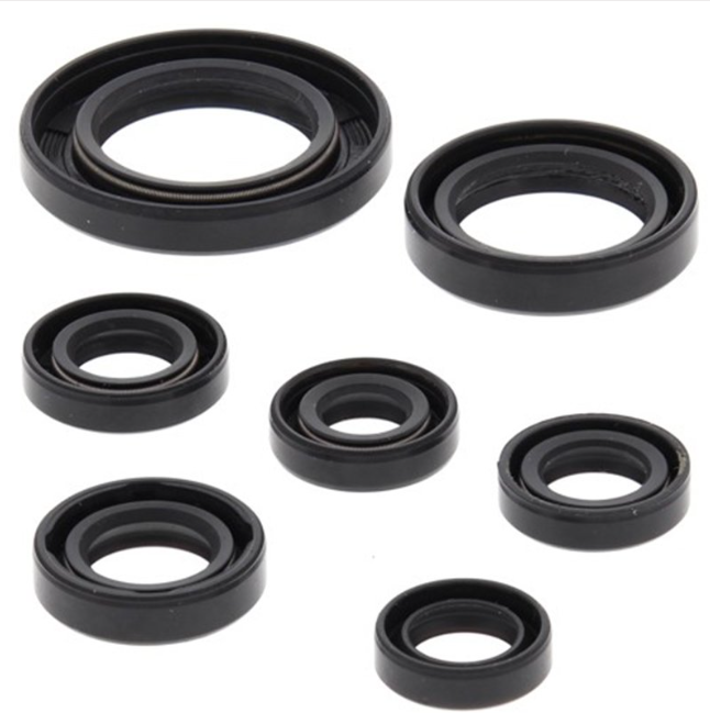 Engine Oil Seal Kit For Honda TRX 250 Recon 2002 Through 2020 Fits Engine And Transmission Rebuild