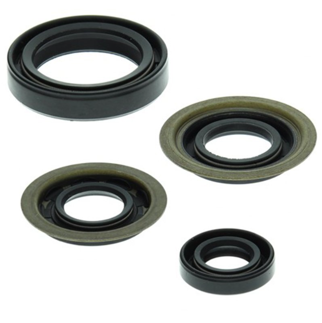 Engine Oil Seal Kit Fits Yamaha YFM YFB 250 BB Timberwolf 1994 to 2009 Complete Engine and Transmission Seals