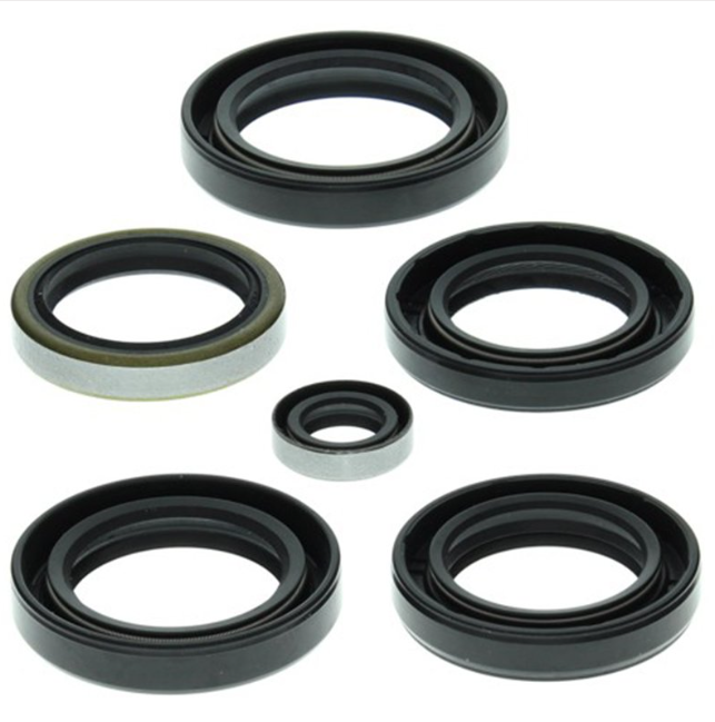 Engine Oil Seal Kit for Kawasaki KVF 360 2003 2013 OEM Equivalent Seals for Complete Engine and Transmission Rebuild
