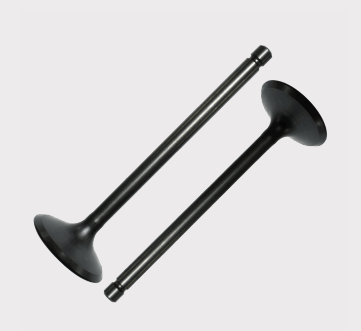 Engine Valve Set for Suzuki LT-A700X LT-A750X ATV, black metal intake and exhaust valves in pairs, ATV City brand