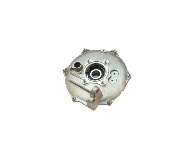 Rear brake backing plate for Honda TRX420 TRX500 TRX520 (2014-2021), metallic silver, ATV City