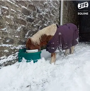 JFC Agri Thermal Equine Drinker, green insulated frost-protection water trough for horses