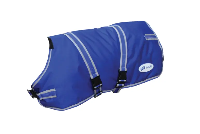 JFC Calf Jacket blue 65cm CJ-00 by JFC Agri with grey straps and buckles