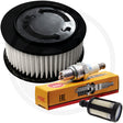 Chainsaw Service Kit - To Fit STIHL MS241, MS362, MS400