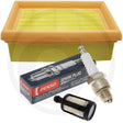 Leaf Blower Service Kit - To Fit STIHL BR350, BR430, BR450