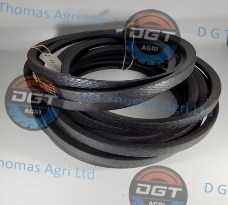 Adobe_Express_20231019_1248310_1