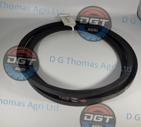 Adobe_Express_20231019_1248160_1