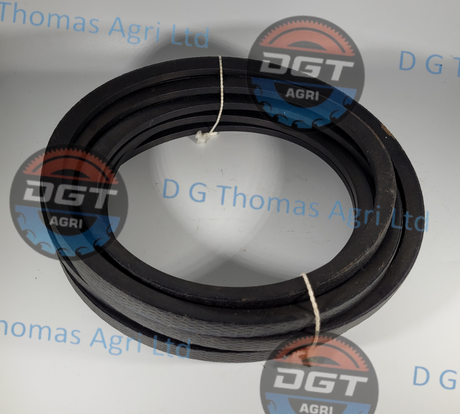 Adobe_Express_20231019_1248430_1