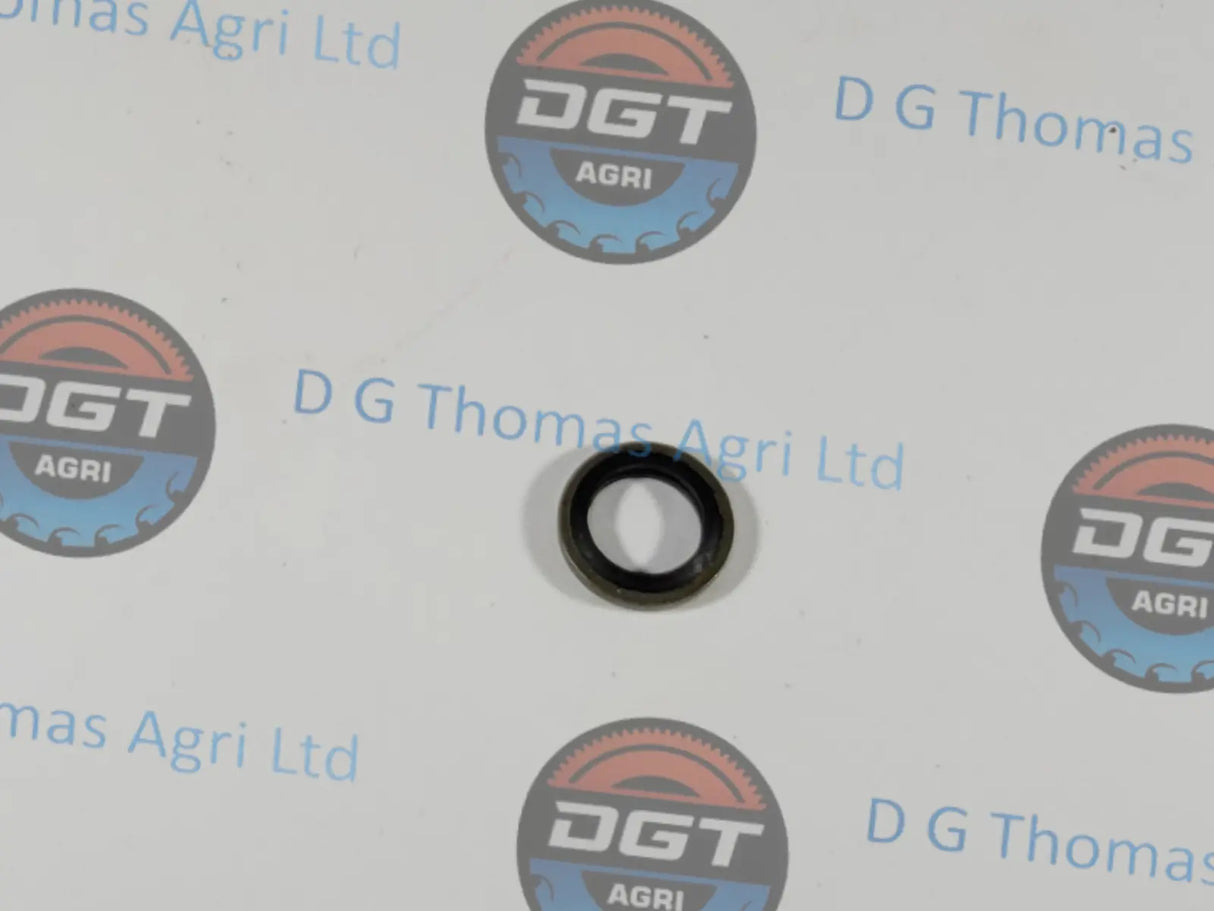 Adobe_Express_20231024_1130210_1