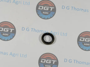 Adobe_Express_20231024_1130210_1