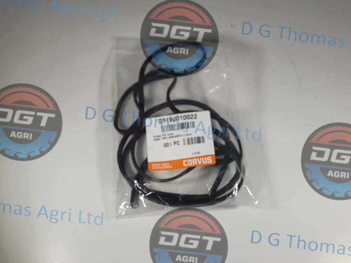 Adobe_Express_20231024_1131090_1