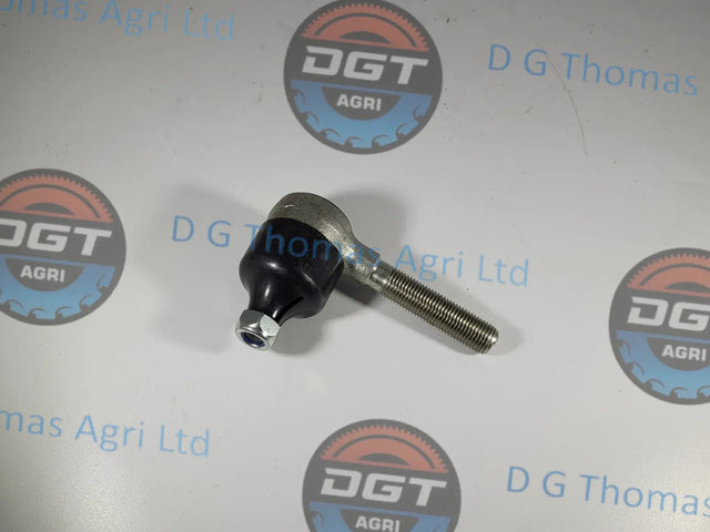 Adobe_Express_20231024_1131300_1