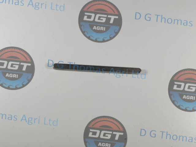 Adobe_Express_20231024_1231170_1