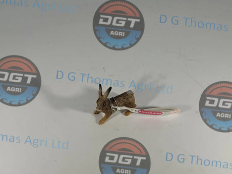 Adobe_Express_20231122_1042030_1