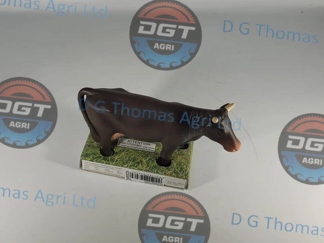 Adobe_Express_20231122_1118260_1