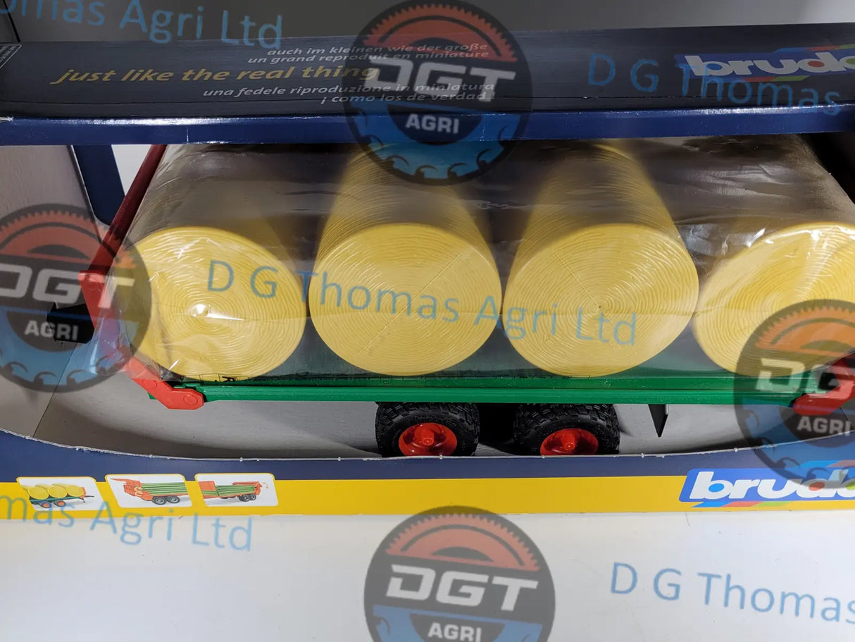 Adobe_Express_20231122_1315000_1