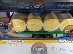 Adobe_Express_20231122_1315000_1