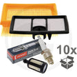 Cut-Off Saw Service Kit 10-Pack - To Fit STIHL TS700, TS800