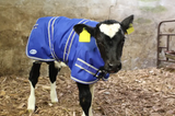 JFC Calf Jacket blue, small 65cm (CJ-00) on a calf; white piping and reflective trim, JFC Agri patch