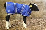 JFC Calf Jacket, blue with reflective trim, 75cm (CJ-01), JFC Agri.