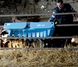 JFC Agri 10-teat calf feeder in blue (EazyFlow) mounted on a pen with calves beneath