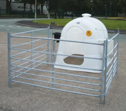 JFC Agri White Large Single Calf Hutch with side feeder pack and penning in metal enclosure.
