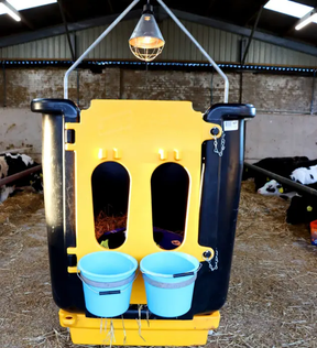 JFC Agri Calf Isolation Unit with Bunded Tray, yellow housing and two blue buckets