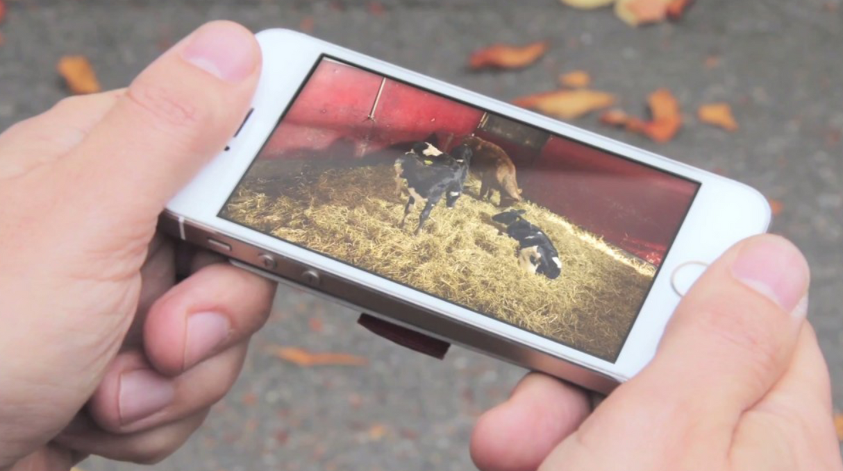 JFC Agri FarmCam HD Wireless Camera Starter Pack: 1 camera & receiver; white handheld display showing cows in a barn.