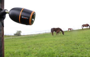 JFC Agri FarmCam Mobility S 4G surveillance camera (black/orange) mounted on a post overlooking a pasture with horses.